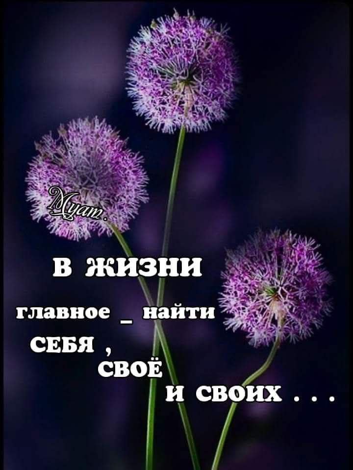Iga - 16 ������ 2026 � 23:20