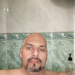 , 41, 