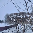 ���� �������, ������ - ��������� 13 ������� 2026 � ������ ������ ��������