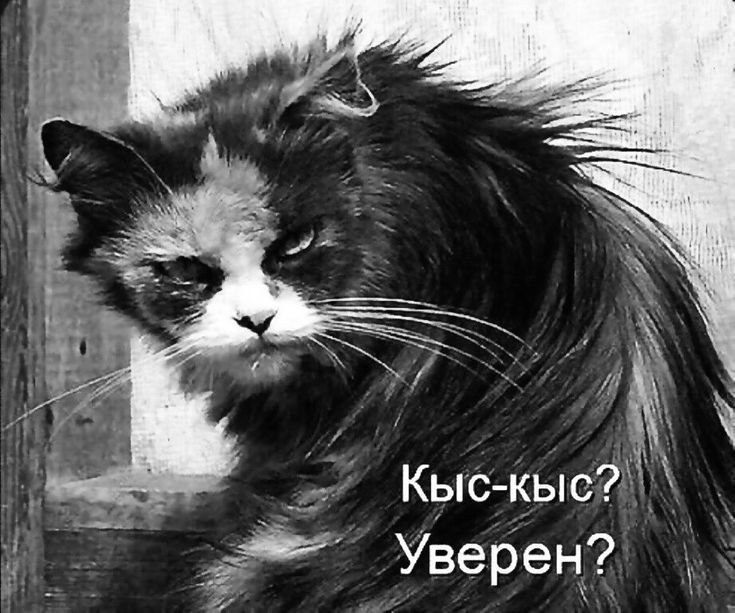  ,    ;-)