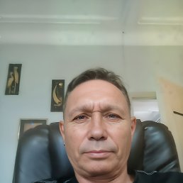 , 54, 