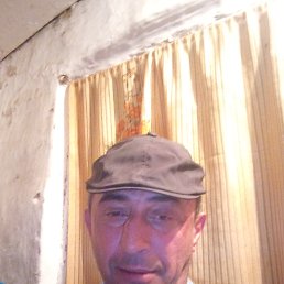 , 53, 