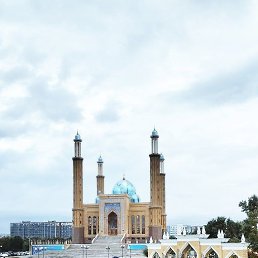 ������, 48 ���, �����