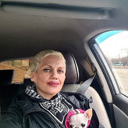 ���� ������, �����������, 55 ��� - ��������� 5 ������ 2026