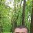  Murat, , 35  -  7  2025