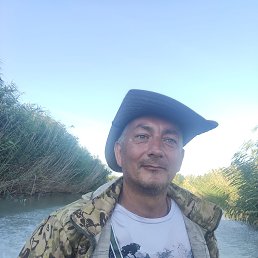 , 43, 