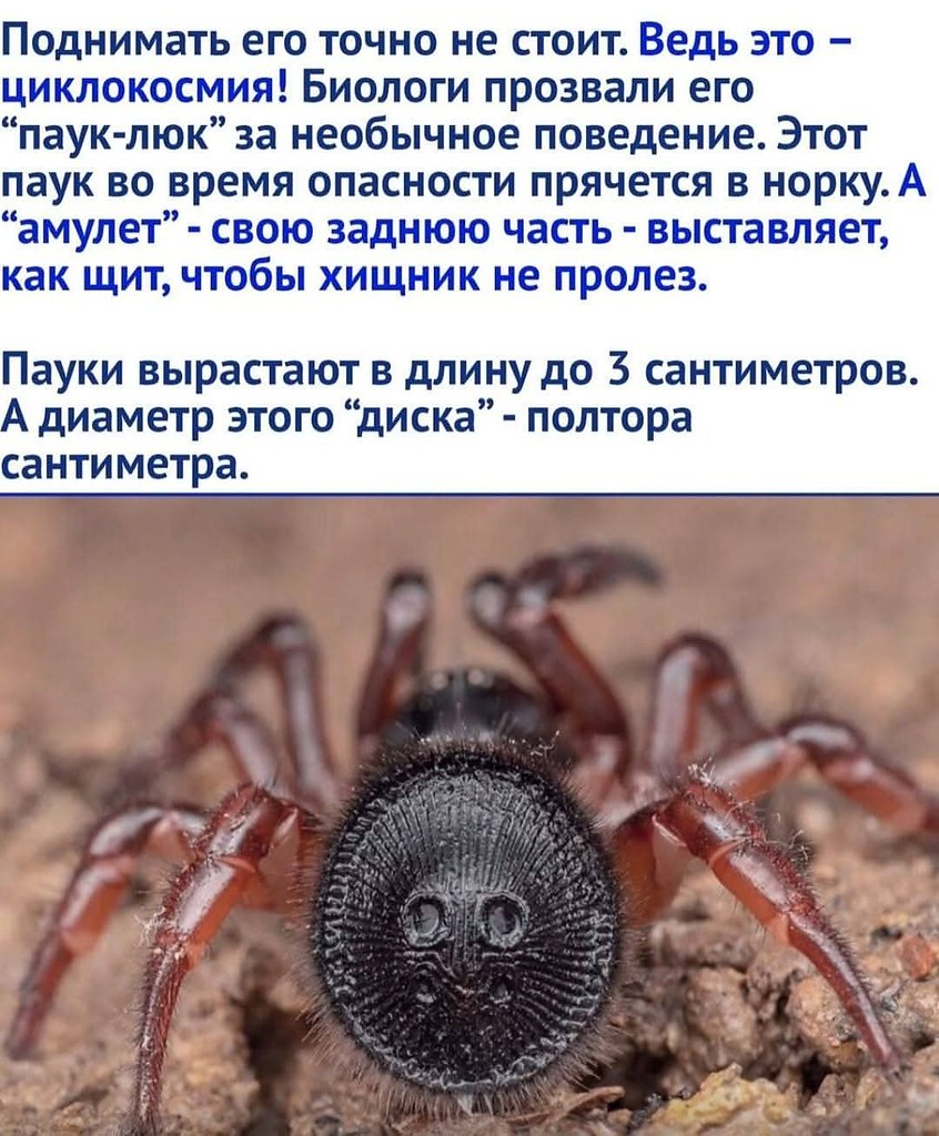 :)  - ... - 2