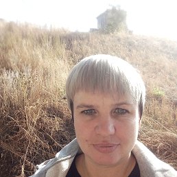 , 40, 