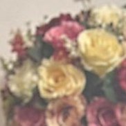 �������, 56 ���, �������