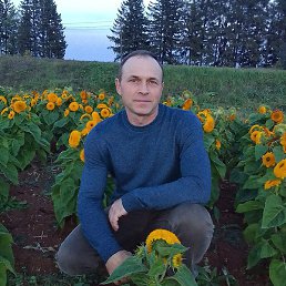 �������, �����, 49 ���