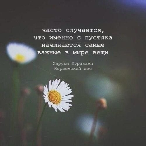   - 6  2025  12:25