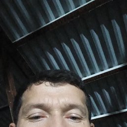 , 33, 