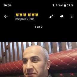 , 42, 