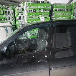 ���� ������, �����, 49 ��� - ��������� 29 ������ 2026