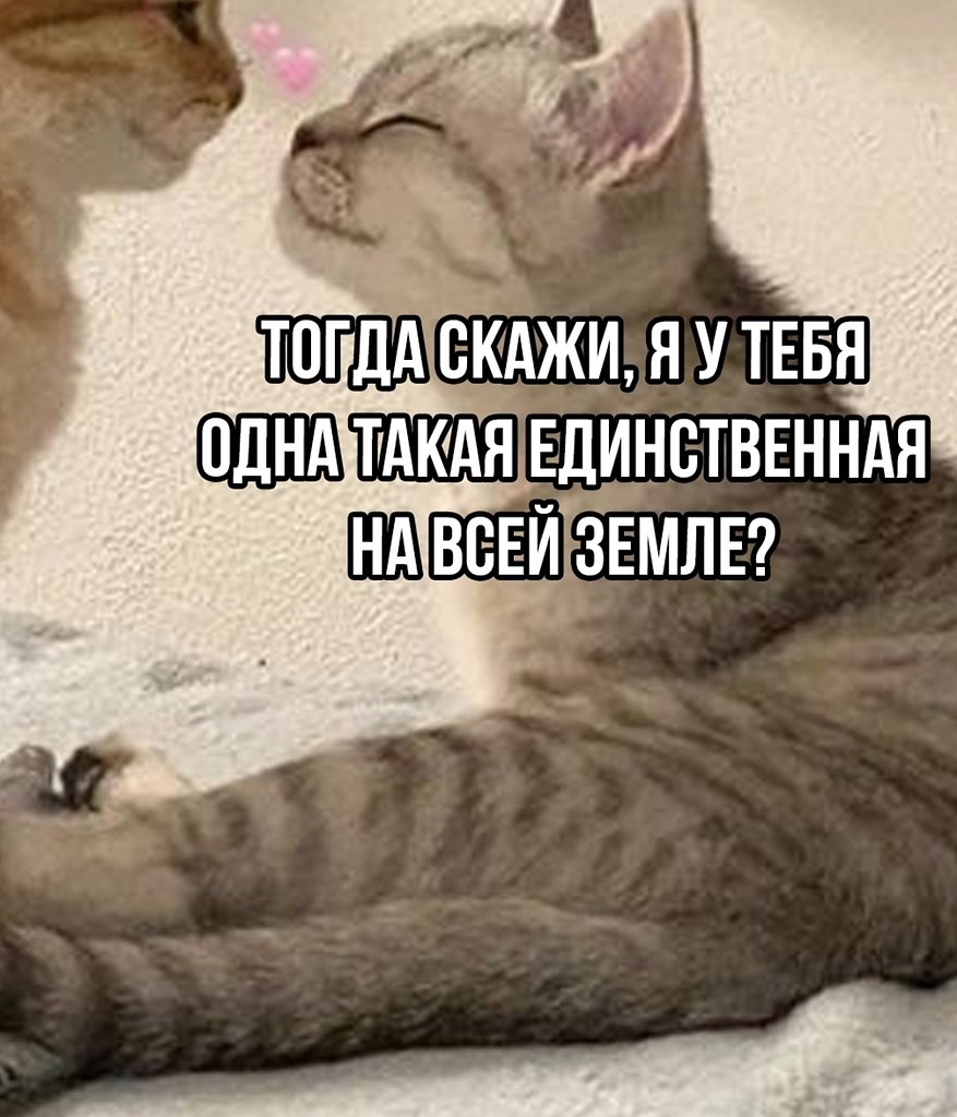 Вот они настоящие чувства - 2