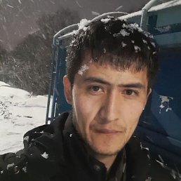 , 31, 