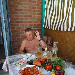 , 65, 