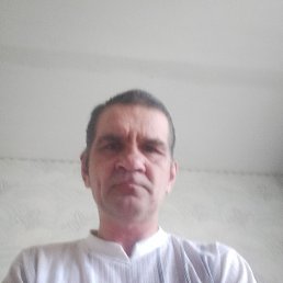 , 41, 