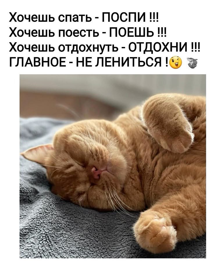 ��� ���� - 22 ������� 2026 � 18:43