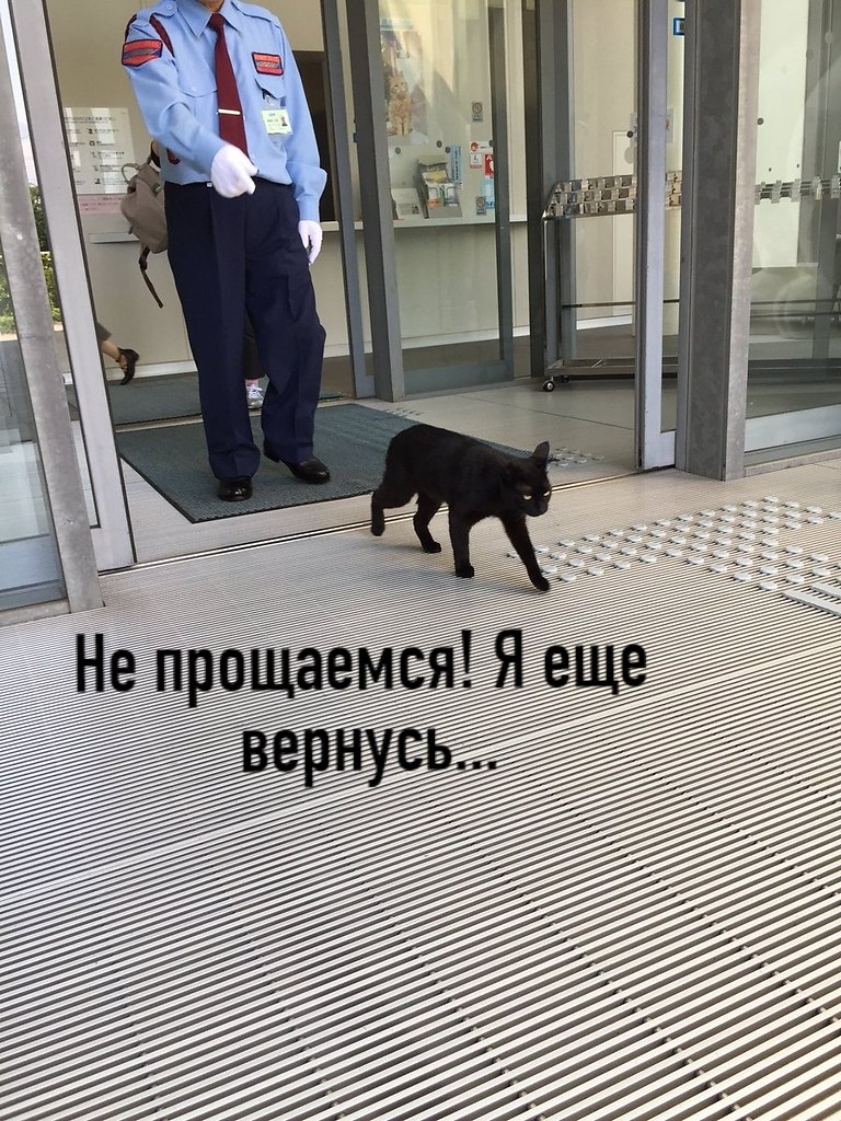 4 ����, ������� ������� � �� ���� �� ���������� ������� ������� � �����! �� ���� ����� ���� - ��� ... - 9