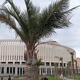 �����, ������ ��������, 60 ���