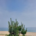 ���� ��������, ���������, 63 ���� - ��������� 10 ���� 2024 � ������ ���� ����������