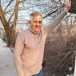 , 61 , 