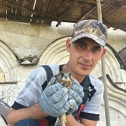 ��������, 47 ���, ���������