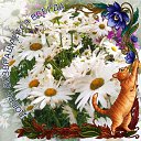 ���� �������, �����������, 51 ��� - ��������� 27 ���� 2026 � ������ ���� ����������
