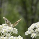 ���� ������, ����������, 57 ��� - ��������� 27 ������ 2025 � ������ ������� ������