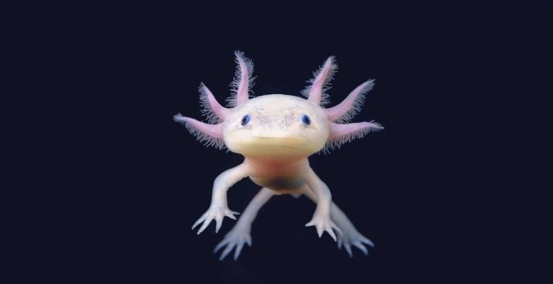   .   ,       ...
