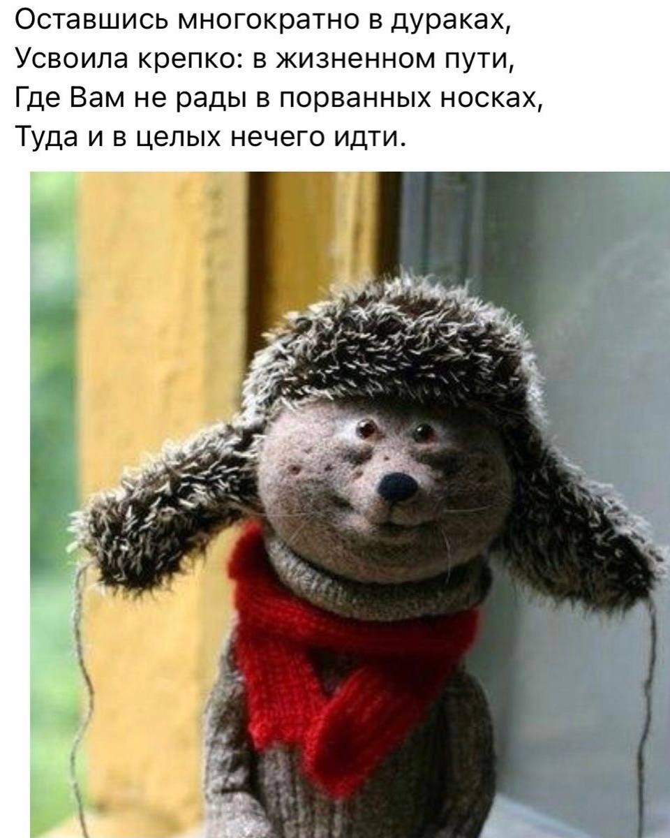  - 8  2025  16:49 - 7