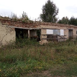 �����, ��������, 41 ���