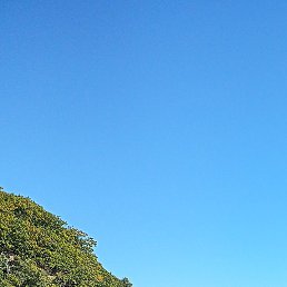 ������, �����������, 37 ���