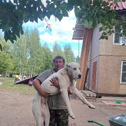 ����, �����, 55 ���