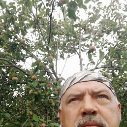  , 61 , 