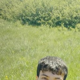 Star, 28, 
