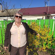 , 59 , 