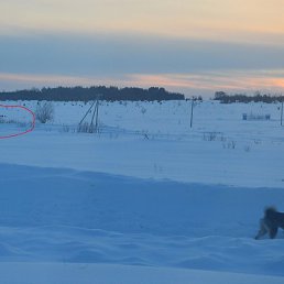 ����, ������, 52 ����