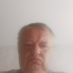 , 56 , 