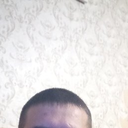 �������, 40 ���, ���������