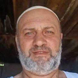 �������, ������, 49 ���