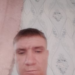 , 33, 