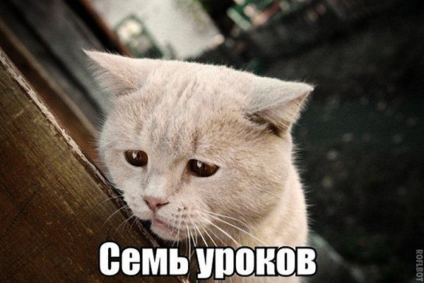 ☆   ☆ - 24  2025  20:39