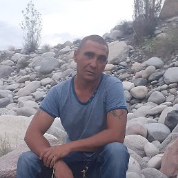 ���������, ������, 43 ����