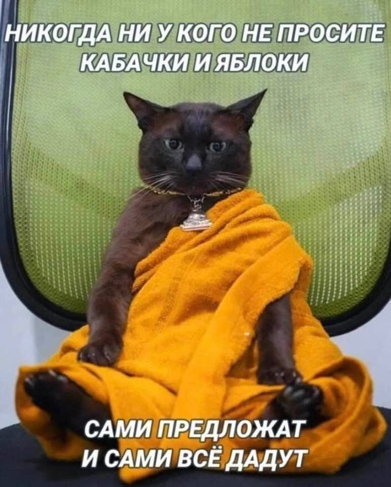   - 12  2025  16:51