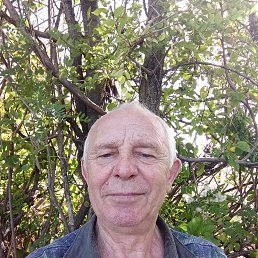 , 65, 