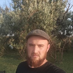 , 29, 