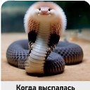 ���� T������, ������ ��������, 55 ��� - ��������� 18 ������ 2025