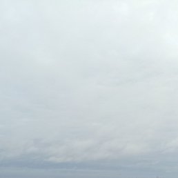 ������, ������, 54 ����